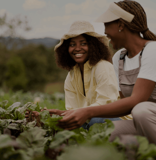 uganda farmer girls picking coffee beans